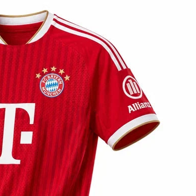 FC Bayern FANBOX